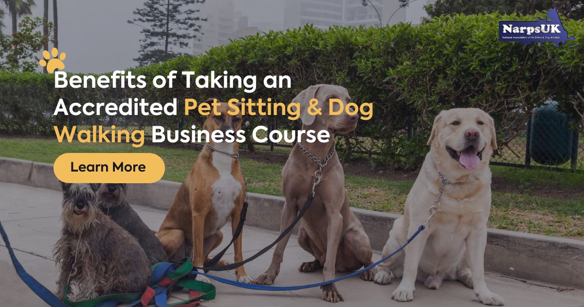 Benefits of Pet Sitting and Dog Walking Business Course